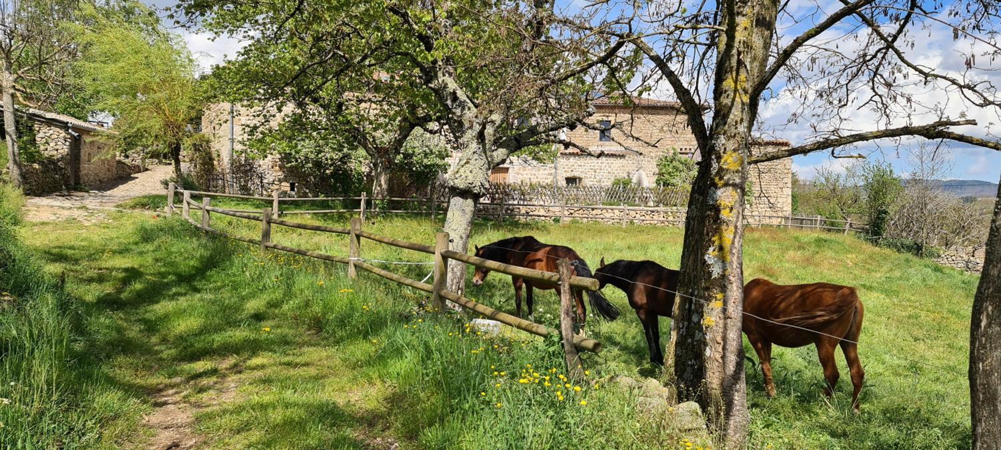 Gites Domaine De Silhac Ardeche Exterior photo